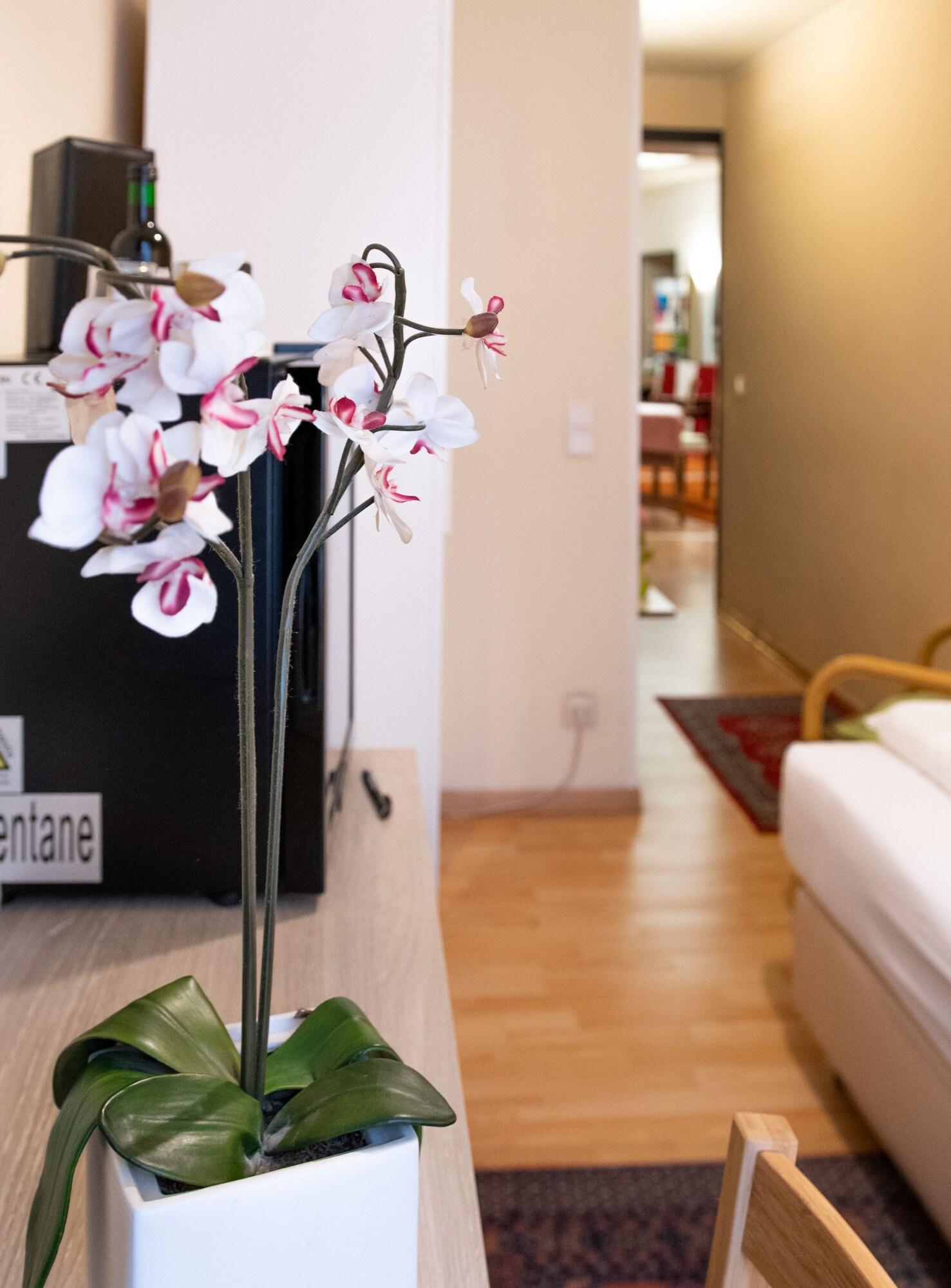 Pension Hotel Mariahilf Vienna Luaran gambar